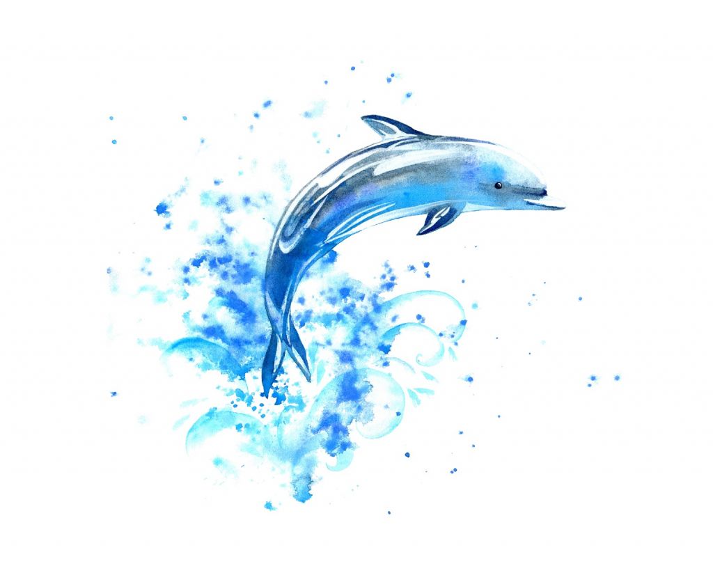 Delfín saltarín