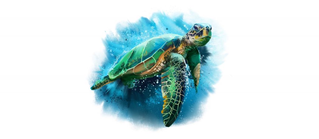 Tortuga marina dibujada