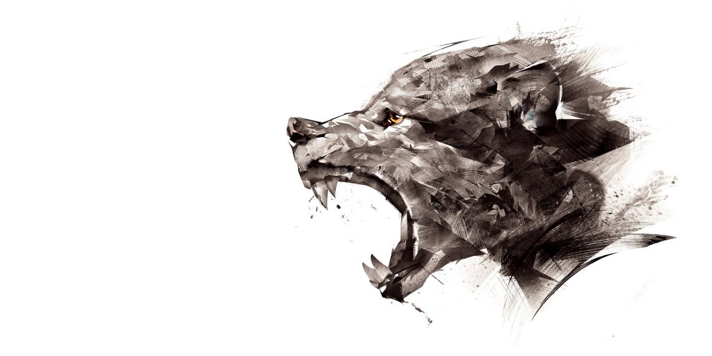 Lobo desollado