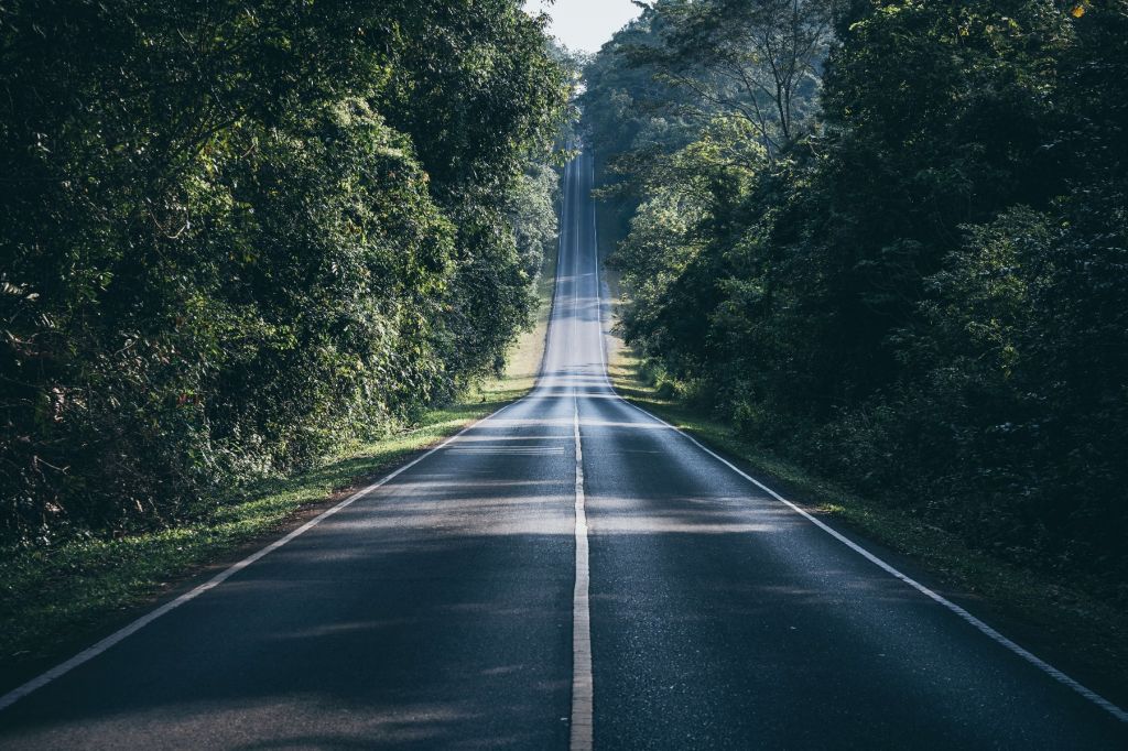 Camino a través de la naturaleza