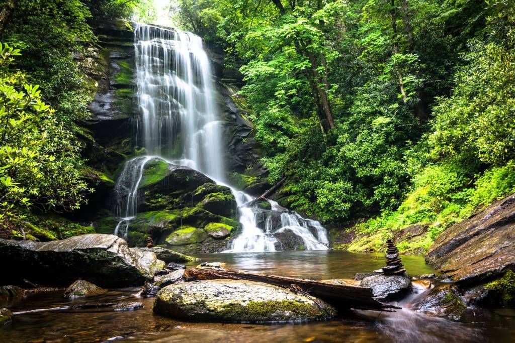 Cascada de la selva