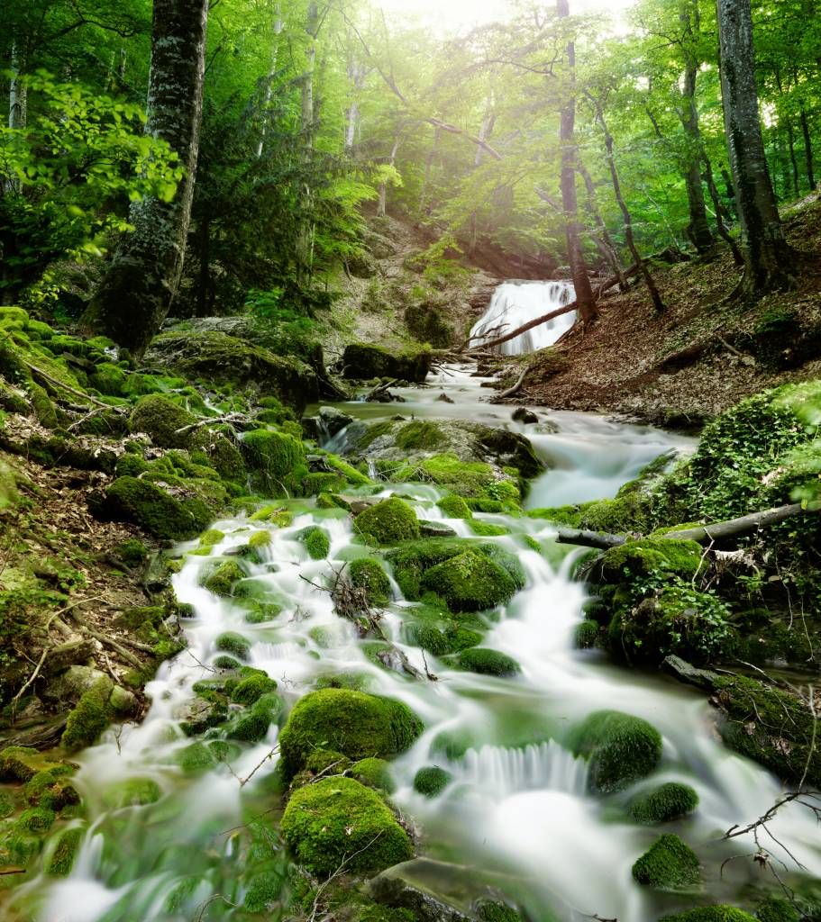 Cascada en la selva