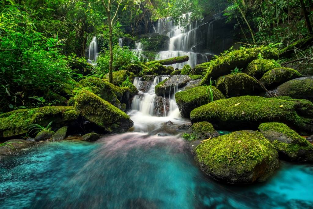 Cascada en la selva