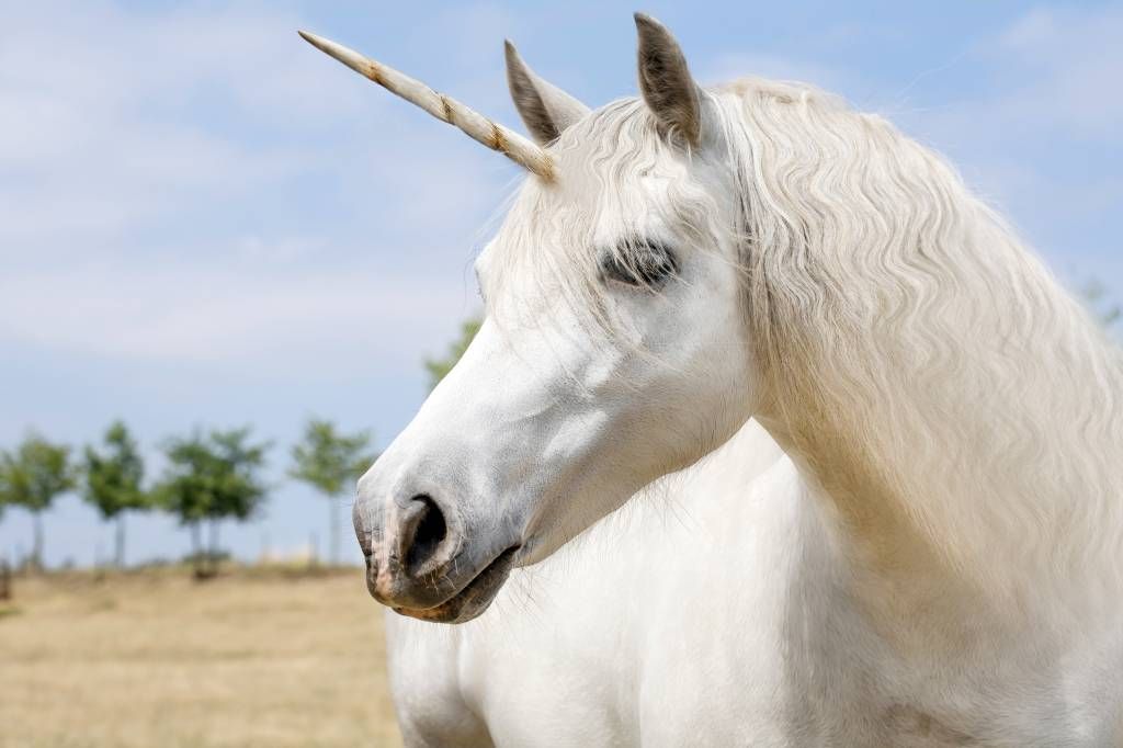 Unicornio blanco