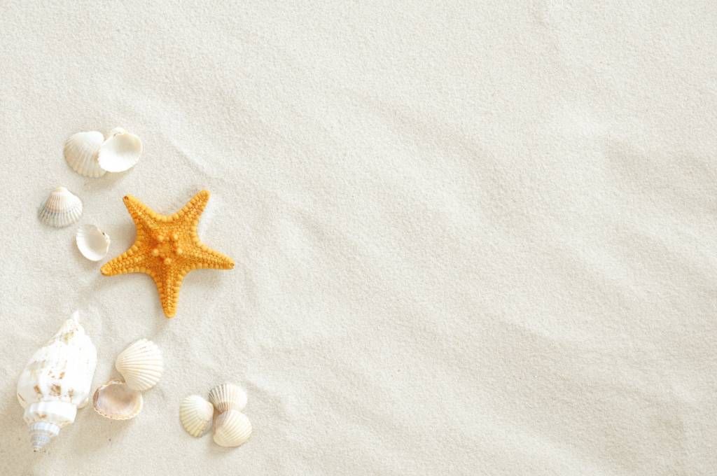 Estrellas de mar en la arena blanca