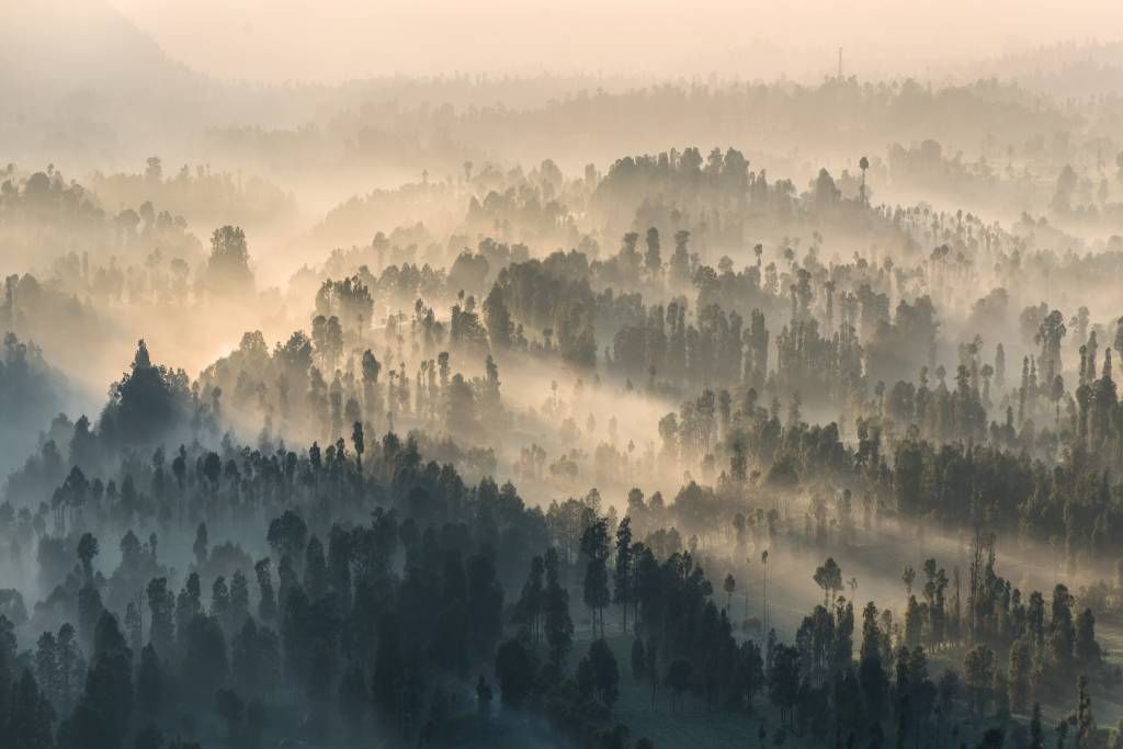 Montañas con niebla en Indonesia