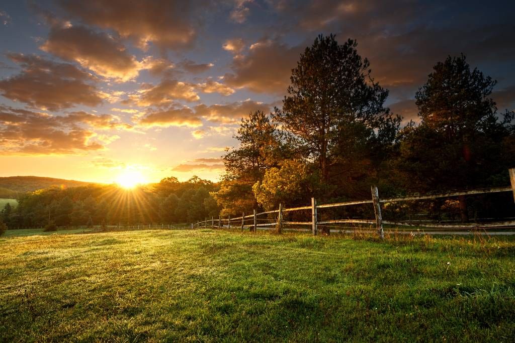 Pradera con puesta de sol