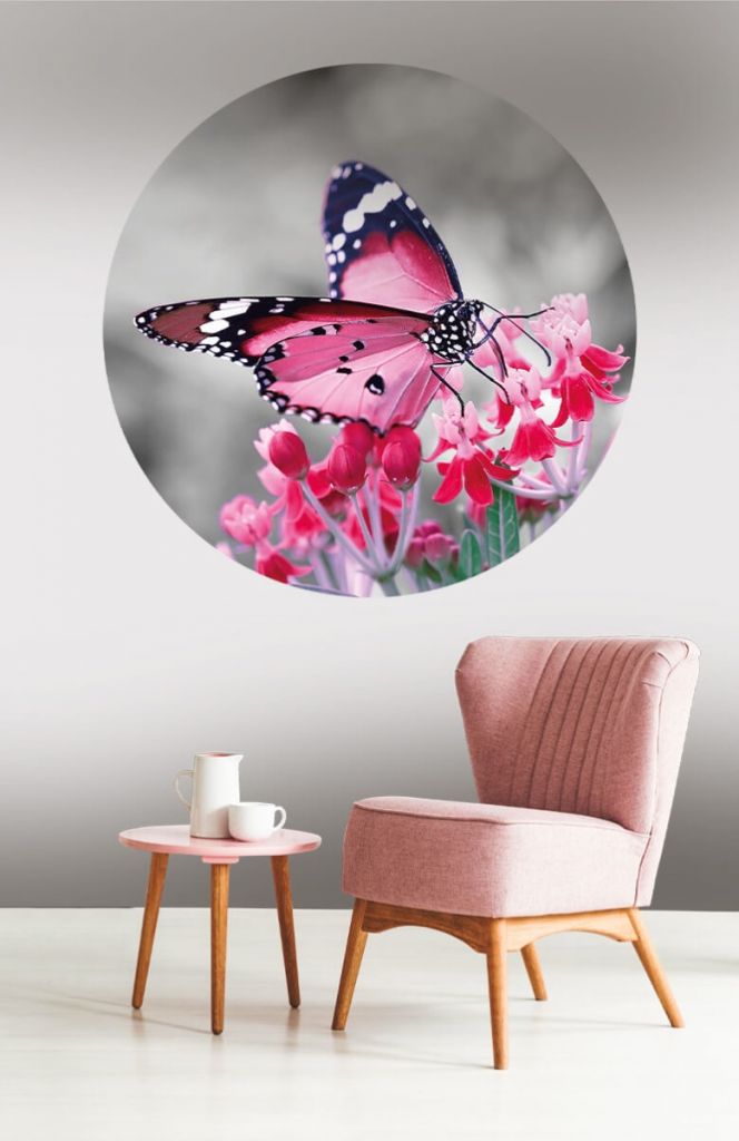 Círculo de empapelado de mariposa rosa