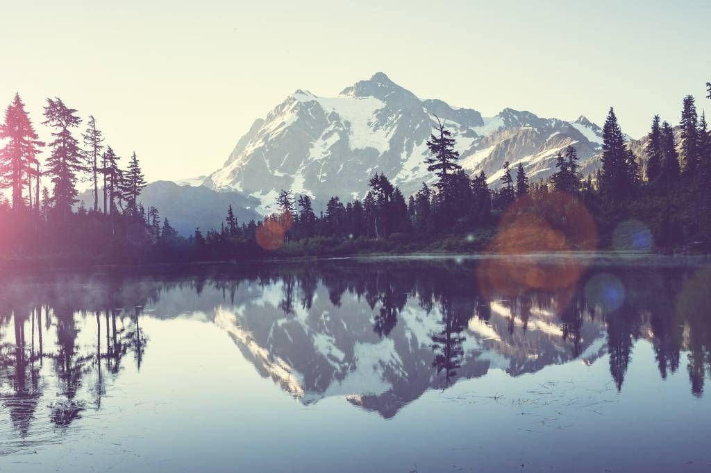 Lago de montaña con bosque