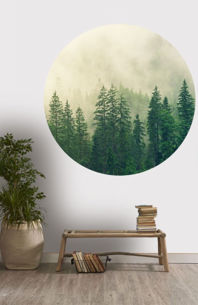 Círculo de empapelado con pinos y niebla