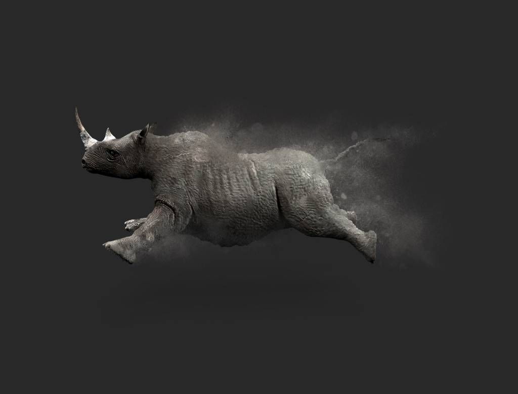 Rinoceronte saltarín