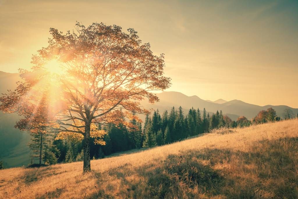 Puesta de sol en un valle