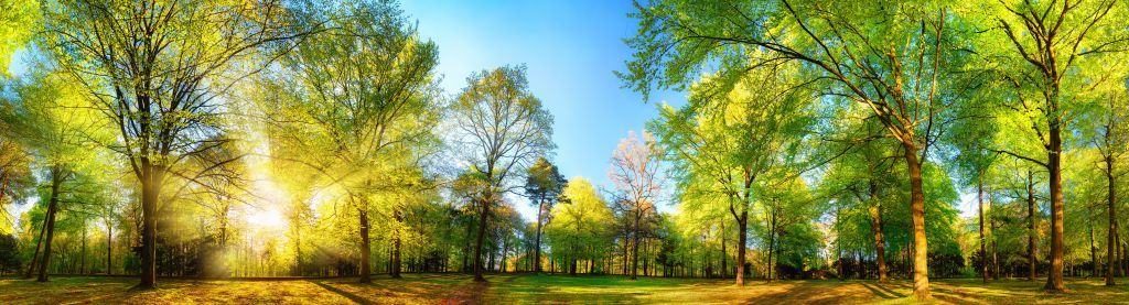 Paisaje de primavera