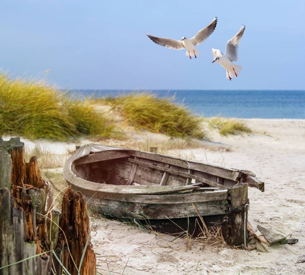 Viejo barco de pesca, gaviotas, playa y mar