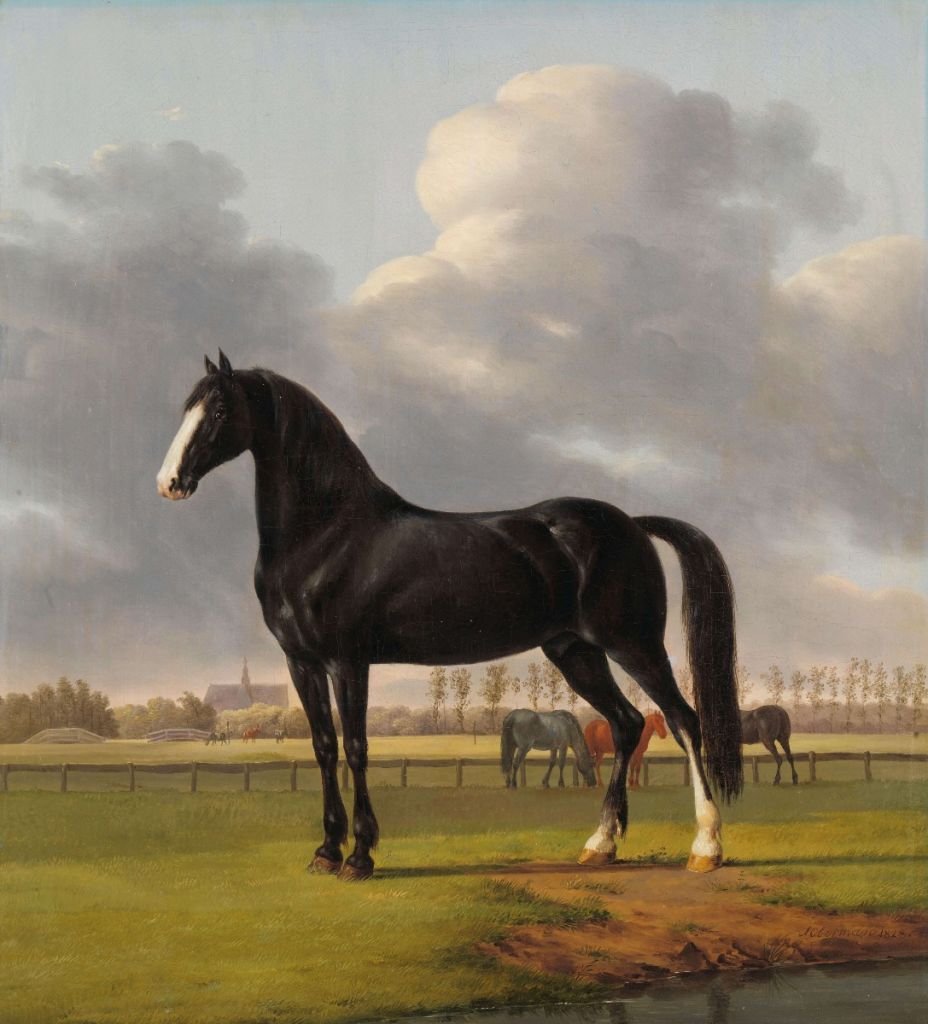 Foto de empapelado de caballo. El trotón duro