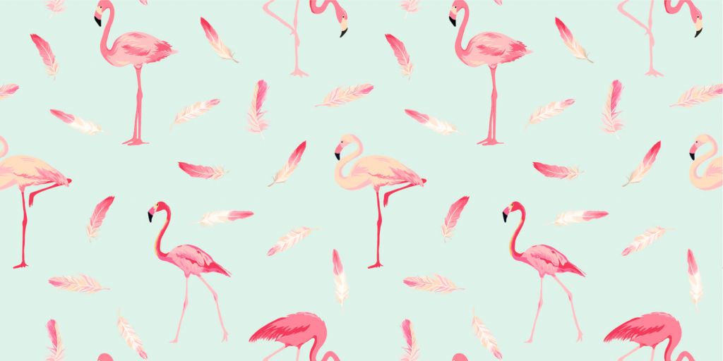 Flamencos