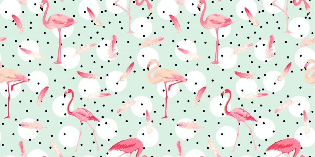 Flamencos y plumas