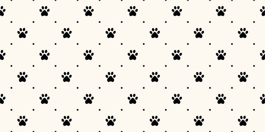 Patas de perro