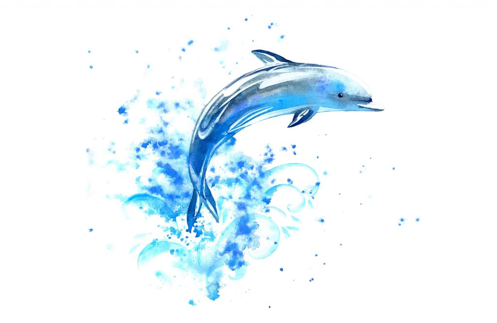 Delfín saltarín