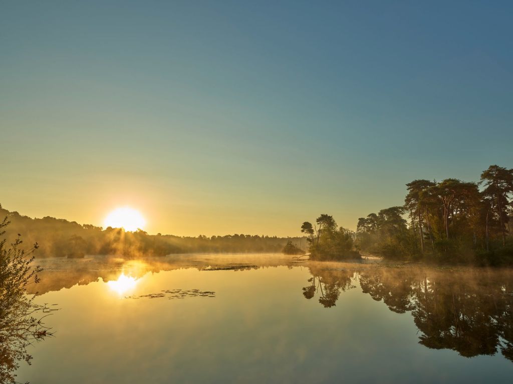 Amanecer en un lago del bosque