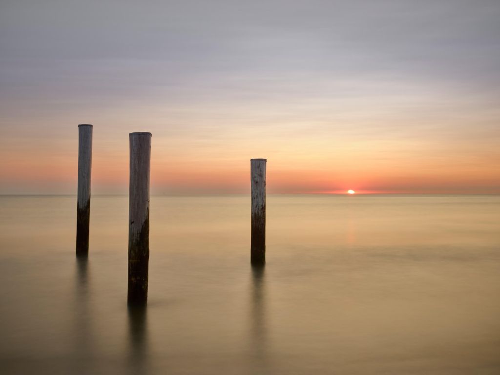 Tres postes de madera