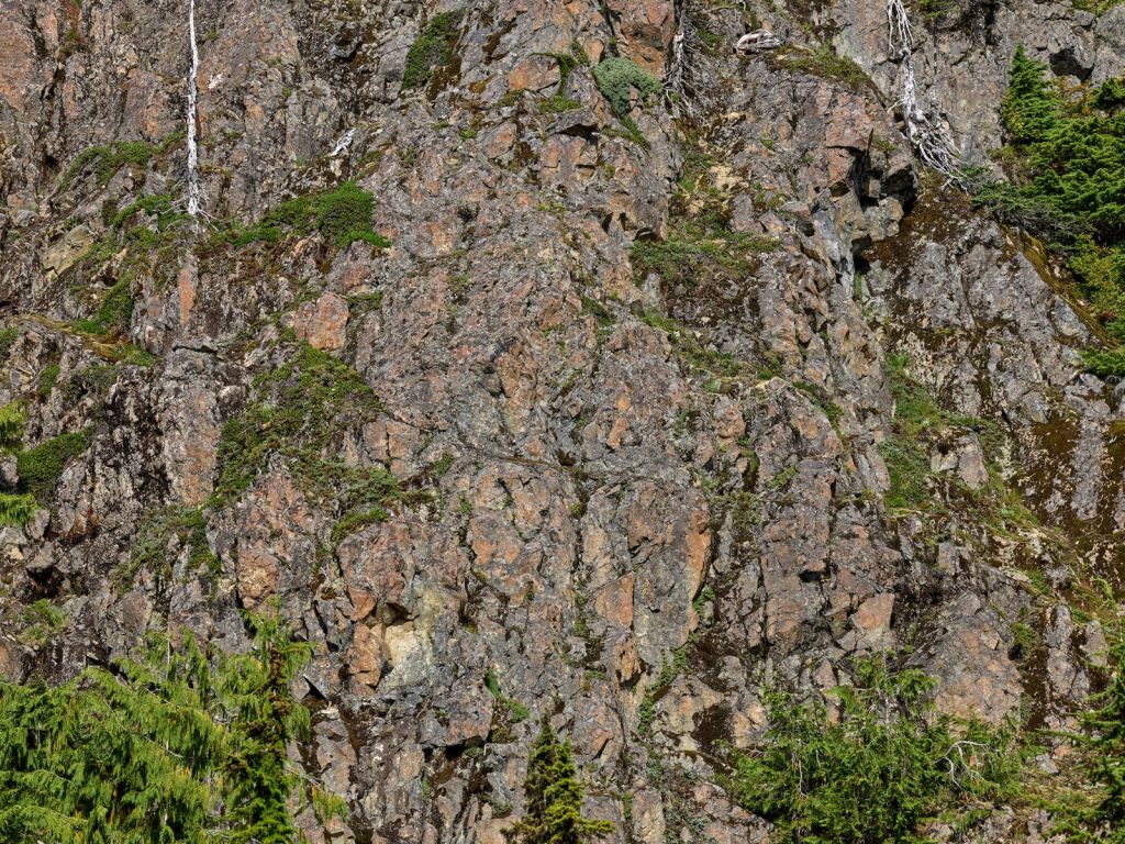Roca con árboles