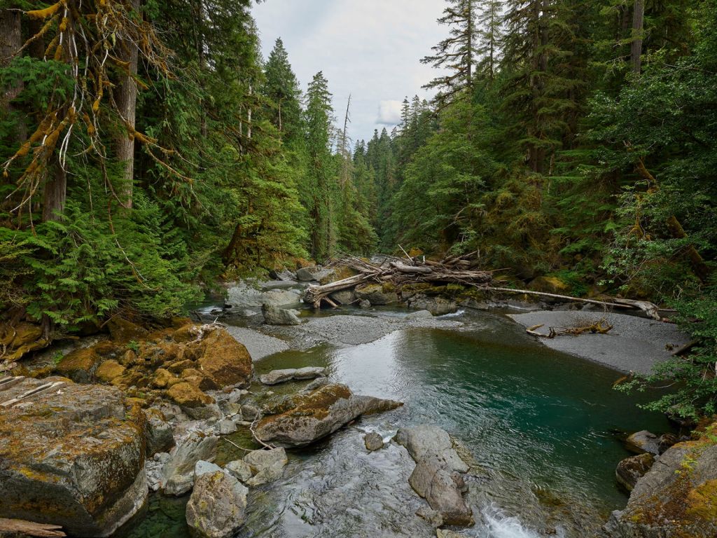 Río con presa