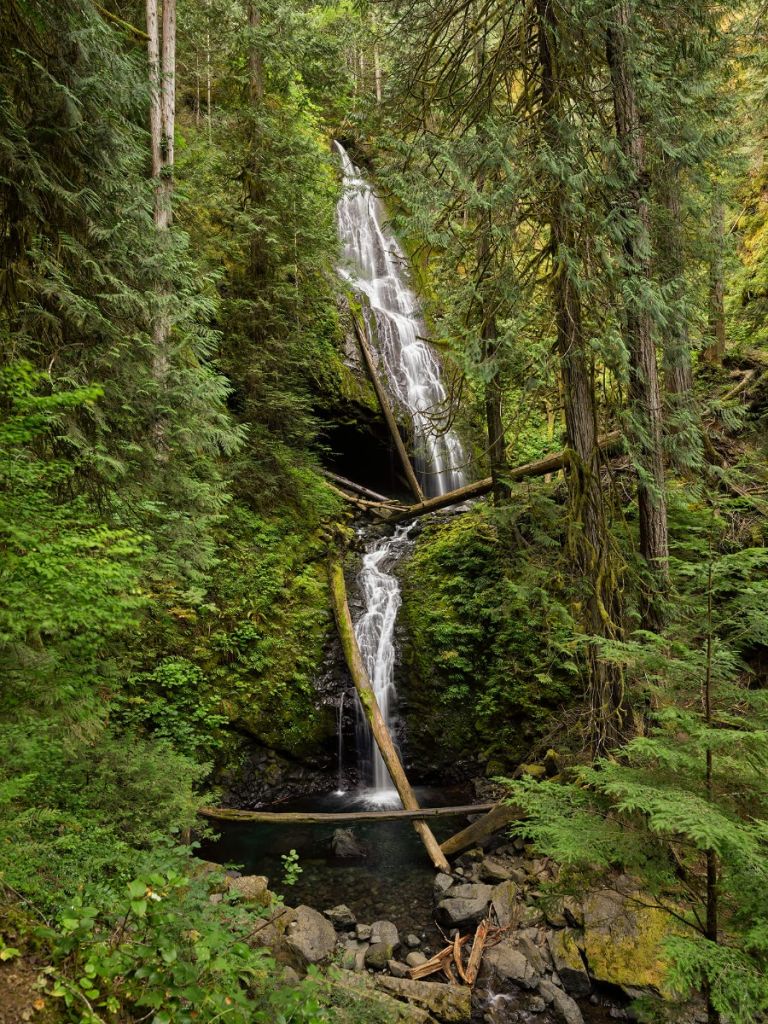 Cascada con árboles caídos