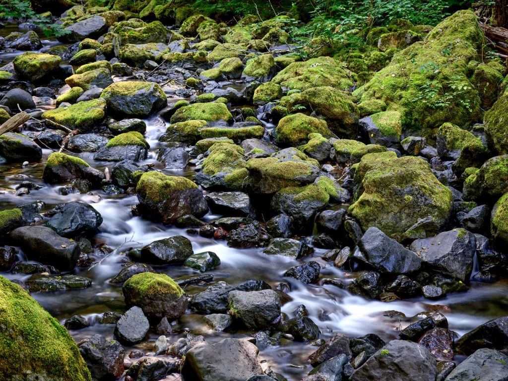 Agua corriente con rocas