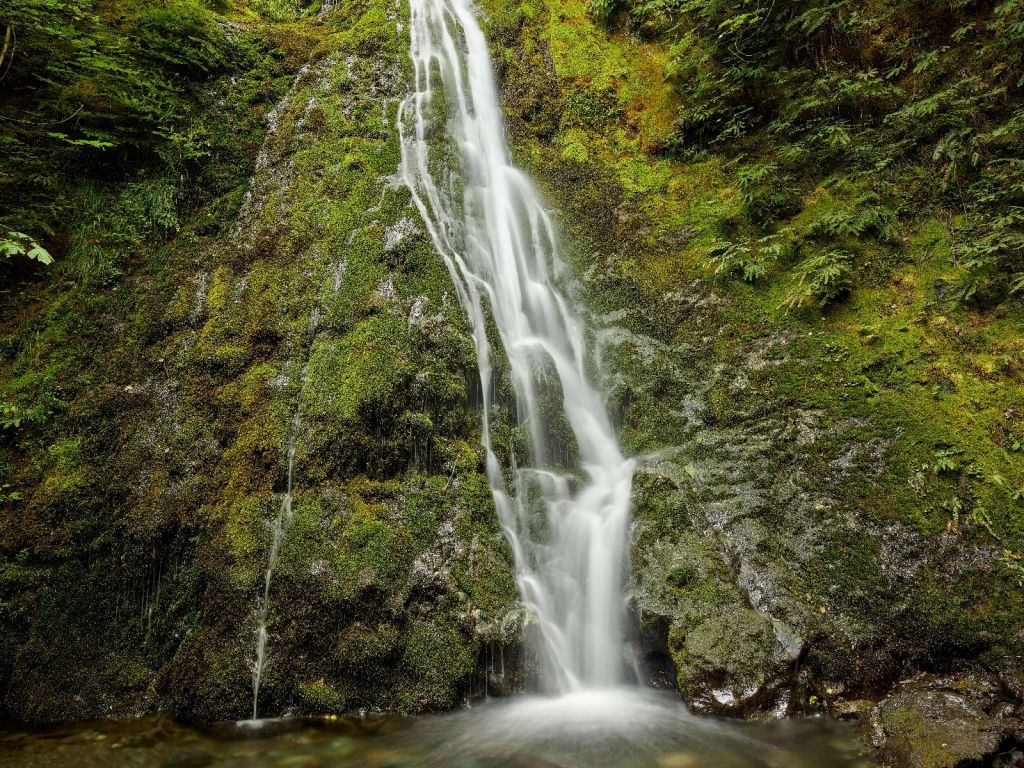 Cascada con un hermoso verde