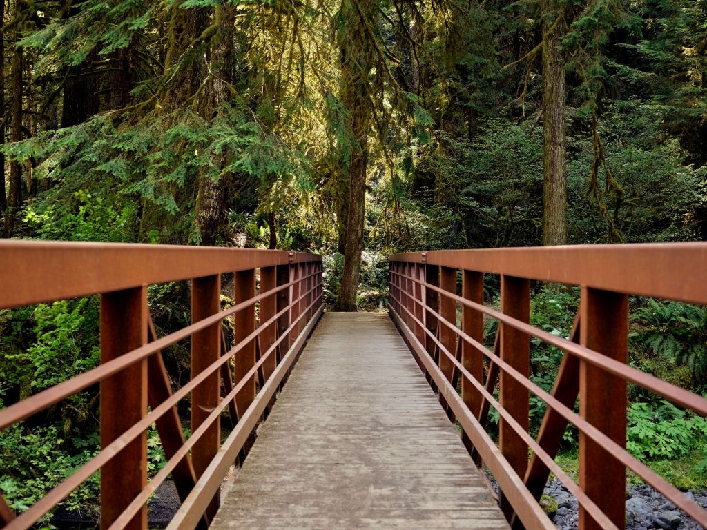 Puente oxidado en el bosque