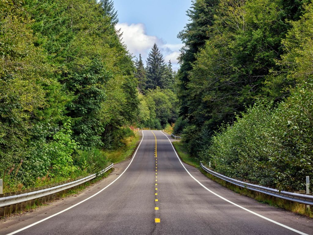 La carretera en la naturaleza