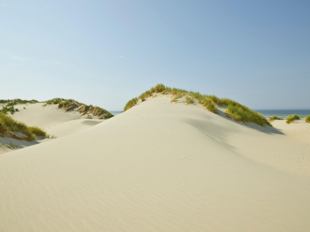 Dunas en la playa