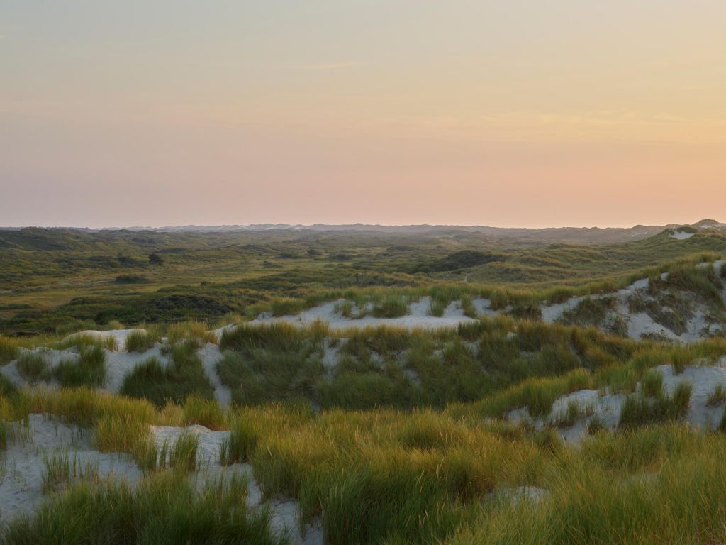 Atardecer en las dunas