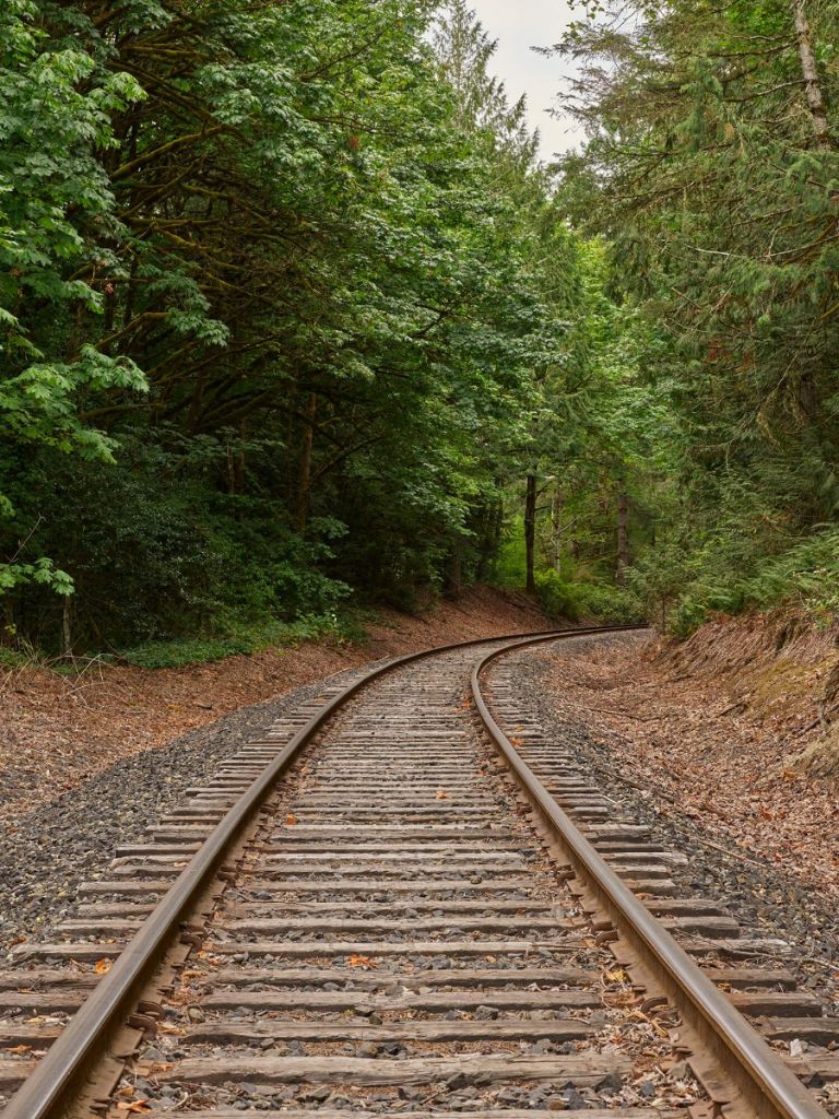 Vía del tren