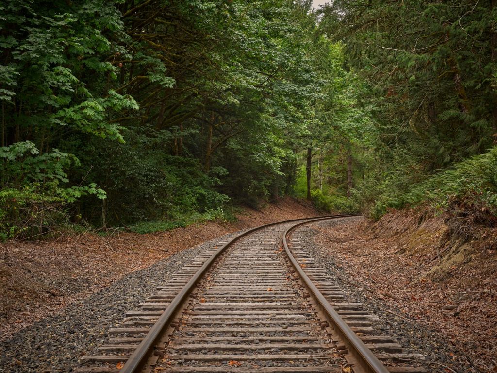 Línea de ferrocarril que atraviesa el bosque