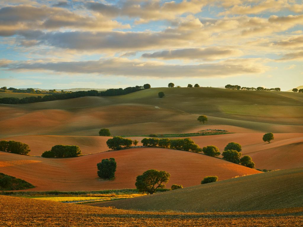 Paisaje montañoso