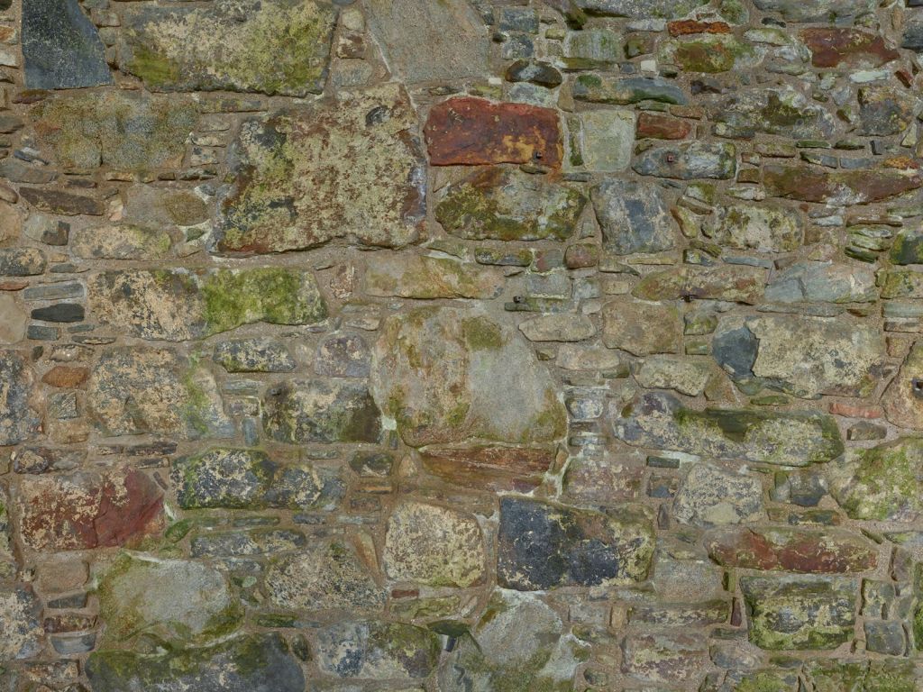 Muro antiguo con musgo