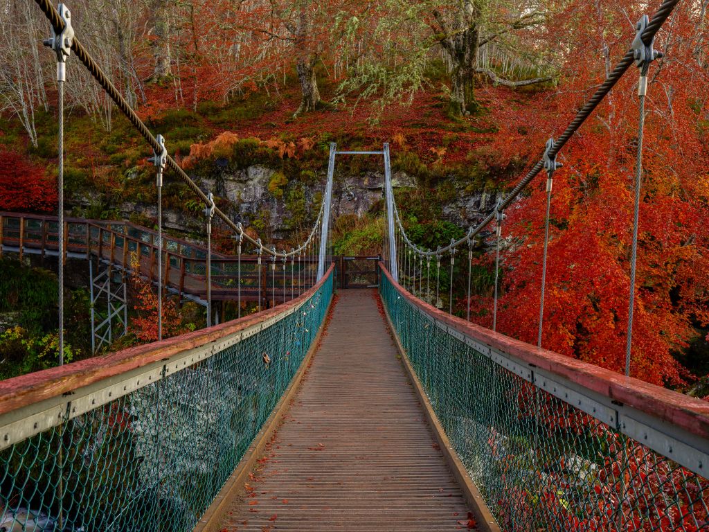 Puente en otoño