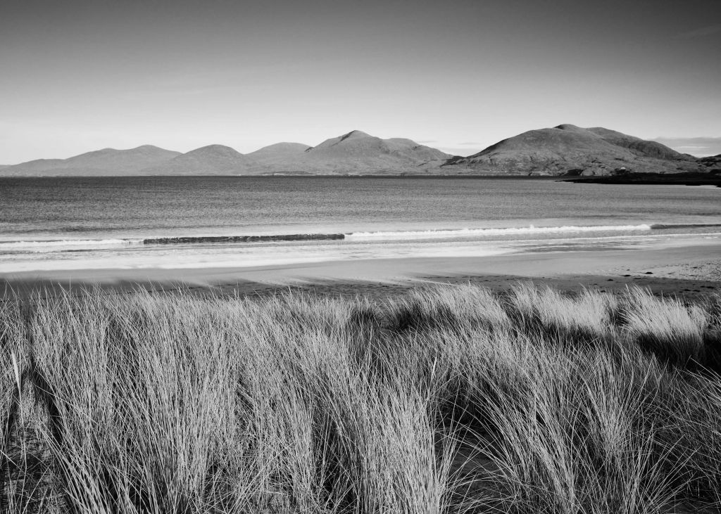 Marram grass, playa y montaña