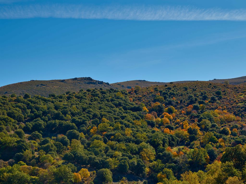 Otoño en las montañas