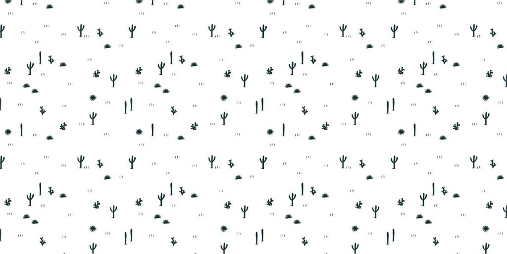 Patrón de cactus