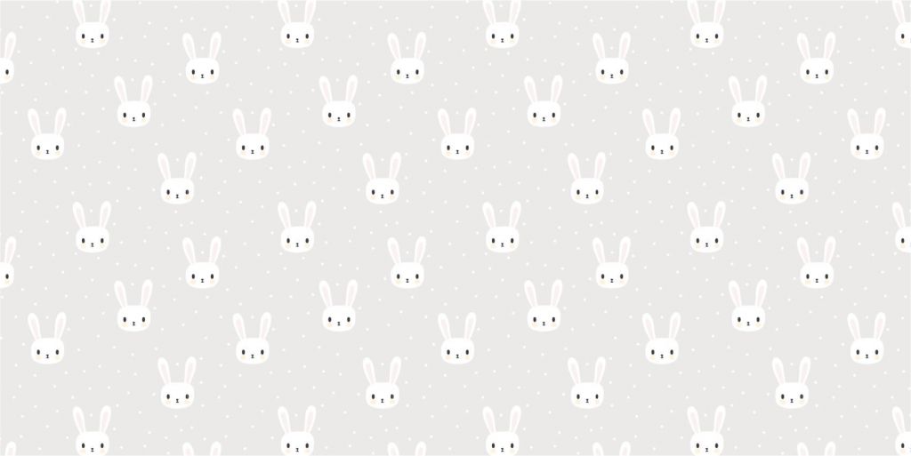 Conejitos blancos