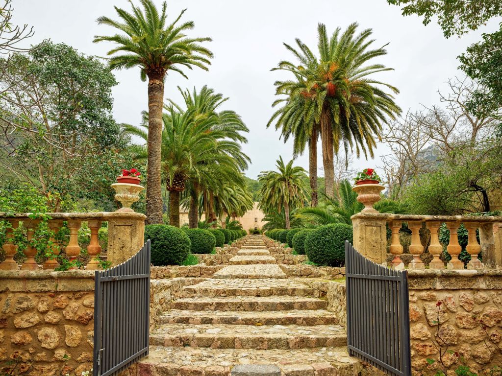 Palmeras a lo largo de las escaleras de piedra