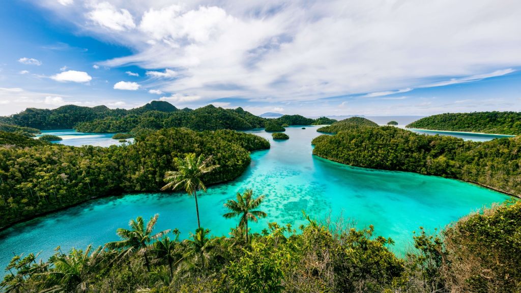 Lagunas tropicales