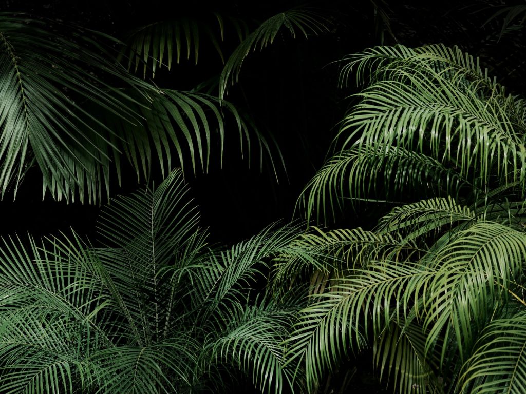 Planta con hojas verdes