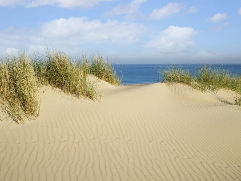 Paso de dunas a la playa