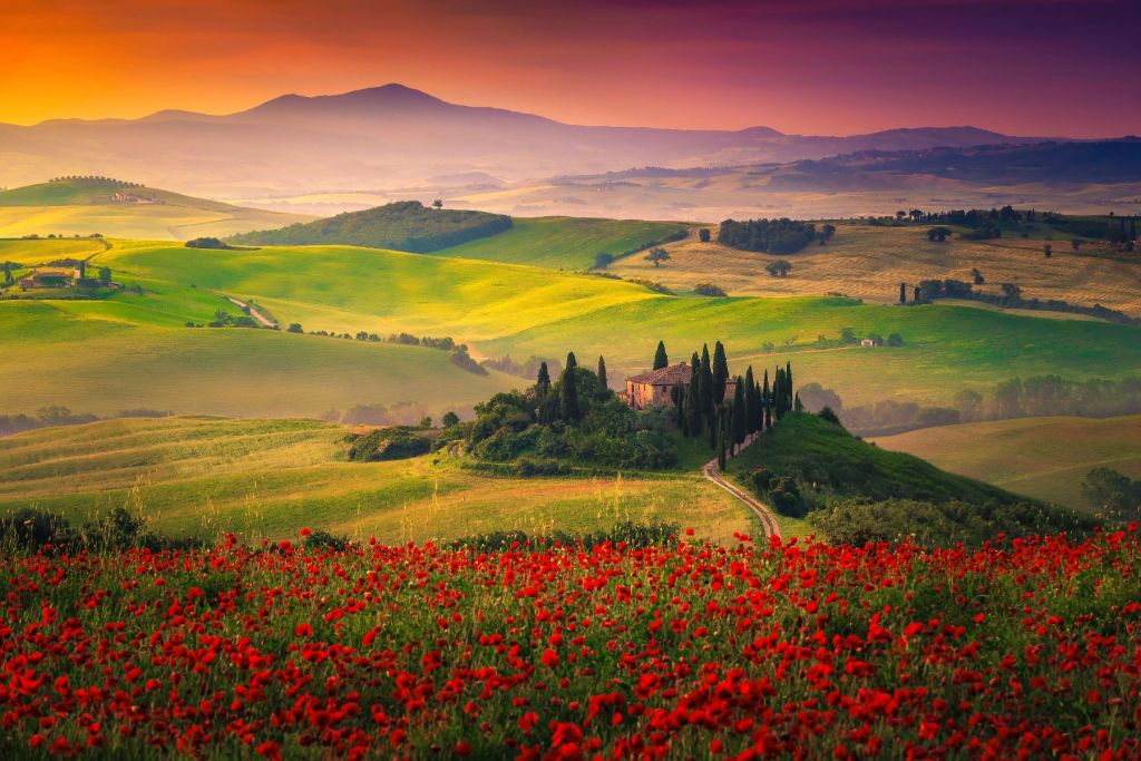 Amapolas rojas con paisaje italiano