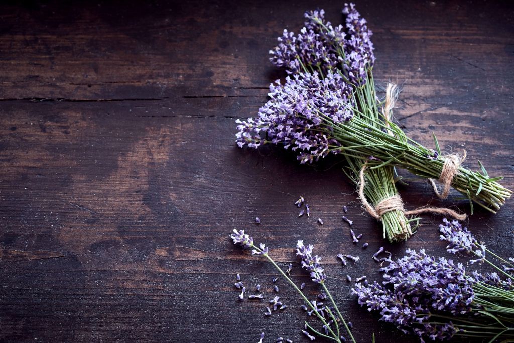 Racimos de lavanda