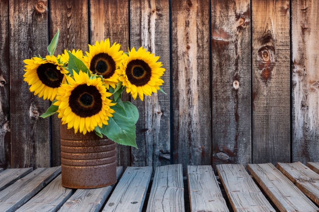 Jarrón con girasoles